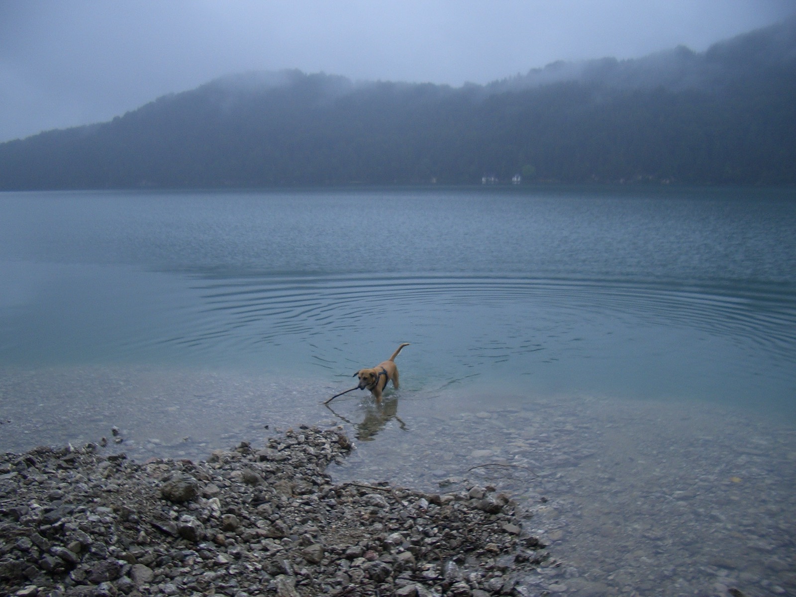 Fuschlsee/Österreich 2005