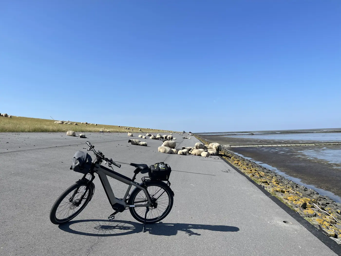 Das Rad auf dem Deichweg bei ablaufendem Wasser, rechts liegt das Watt frei