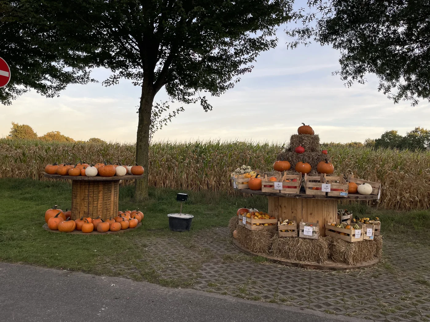 Direkt gegenüber, im September mit dem gesamten Kürbissortiment.