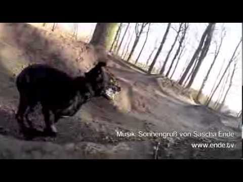 Vorschaubild des YouTube-Videos