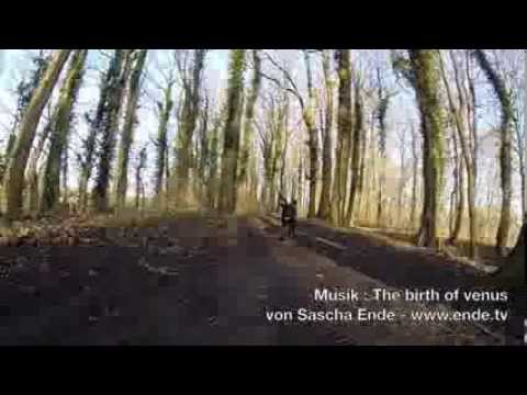 Vorschaubild des YouTube-Videos